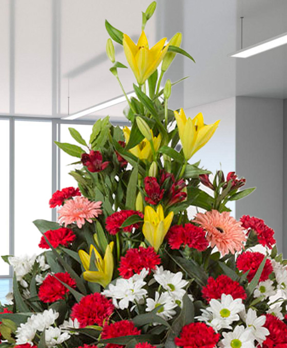 Enviar Centro Funerario Condolencia Rojo