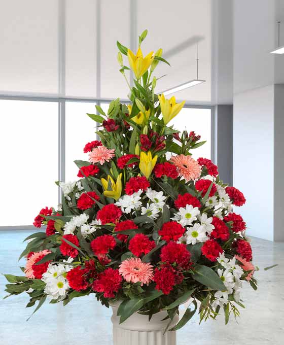 Centro Funerario Condolencia Rojo