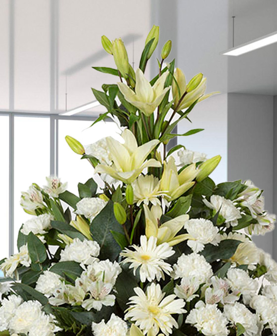 Centro Funeral Piramidal Blanco