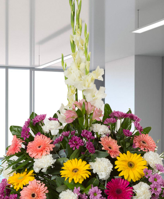 Centro Funerario Clavel y Gerberas