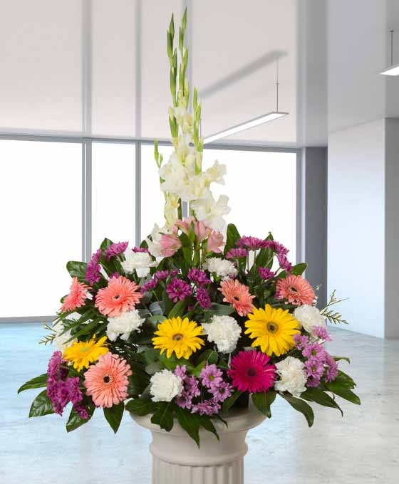 Centro Funerario Clavel y Gerberas