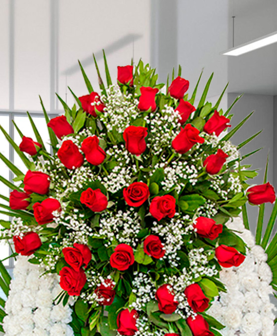 Rosas Rojas para funeral Fuenlabrada
