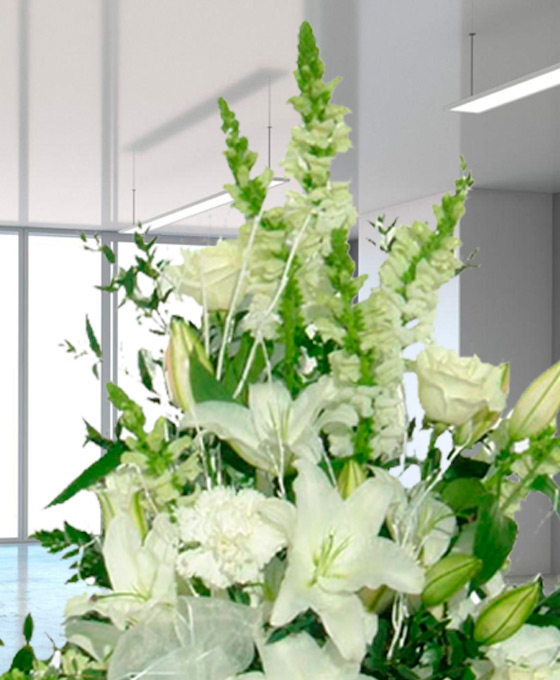 Centro Funerario Básico Blanco