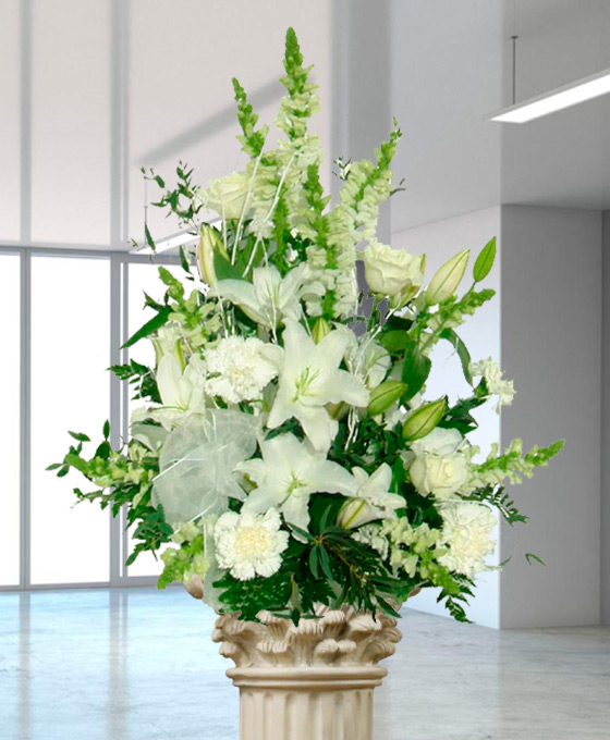 Centro Funerario Básico Blanco