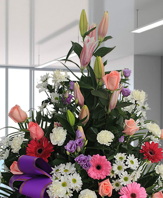 Centro Funerario Especial