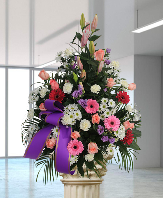 Centro Funerario Especial