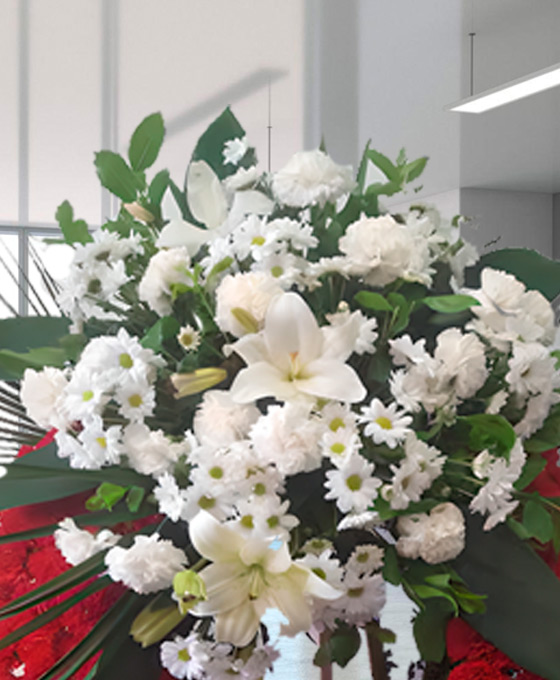 Corona Sencilla Aro Rojo