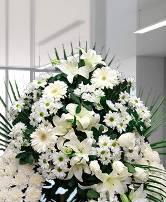 Enviar Corona Lagrima Clavel Blanco