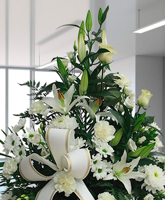 Enviar Centro Funerario Especial Blanco