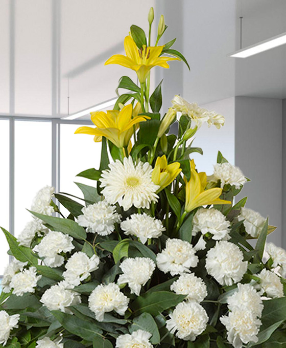 Centro Funerario Condolencia Blanco