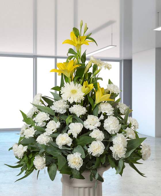 Centro Funerario Condolencia Blanco